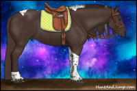 Horse Color:Liver Chestnut Tobiano