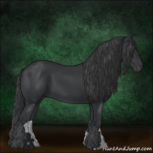 Horse Color:Black 