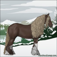 Horse Color:Liver Chestnut Tobiano 