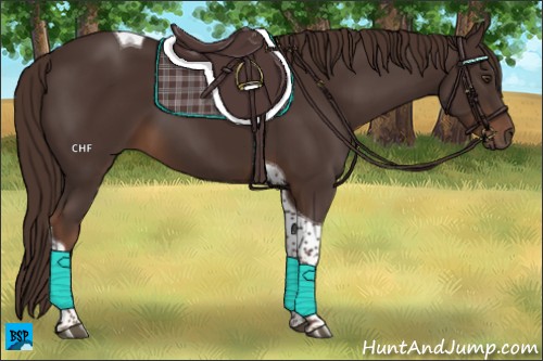 Horse Color:Liver Chestnut Tobiano 