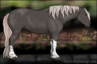 Horse Color:Platinum Liver Chestnut Tobiano 