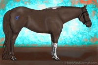 Horse Color:Liver Chestnut Tobiano 