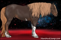 Horse Color:Liver Chestnut Tobiano