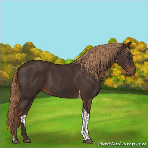 Horse Color:Liver Chestnut Tobiano 