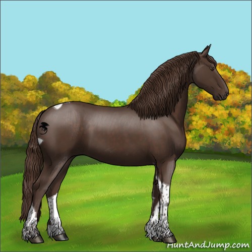 Horse Color:Liver Chestnut Tobiano 