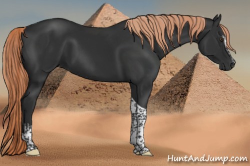 Horse Color:White Spotted Liver Chestnut Tobiano 