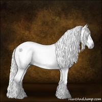 Horse Color:Gray Black 