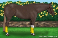 Horse Color:Liver Chestnut Tobiano 