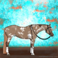Horse Color:White Spotted Liver Red Dun 