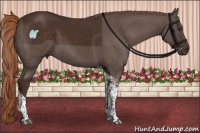 Horse Color:Liver Chestnut Tobiano 