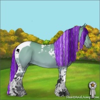 Horse Color:Painted Bay Dun Tobiano 