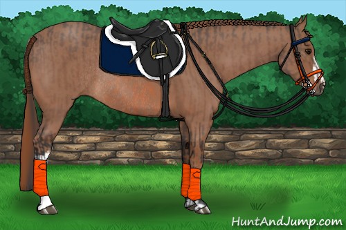 Horse Color:Bay Rabicano  and Chestnut Rabicano 