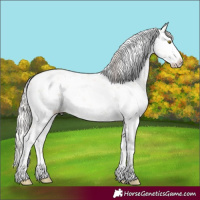 Horse Color:Silver Classic Champagne Dun Sabino 