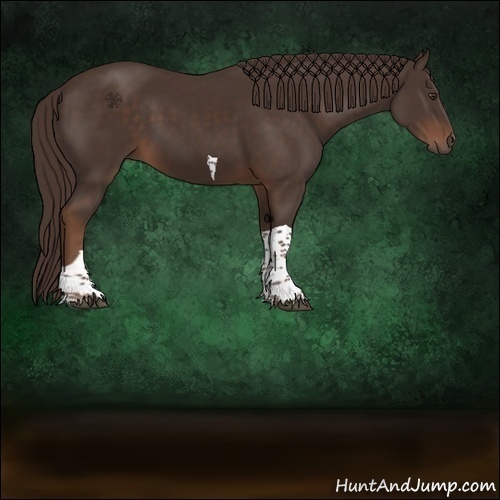 Horse Color:Liver Chestnut Tobiano 