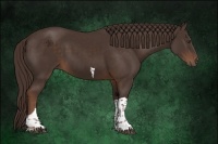 Horse Color:Liver Chestnut Tobiano 