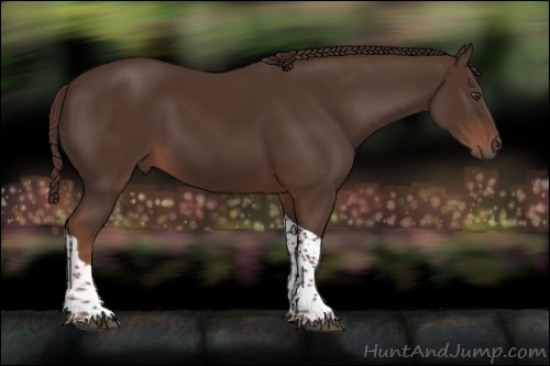 Horse Color:Liver Chestnut Tobiano 