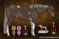 Horse Color:Liver Chestnut Mushroom Tobiano 
