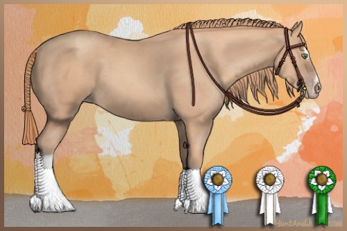 Horse Color:Gold Champagne Sabino Tobiano 