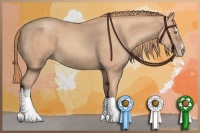 Horse Color:Gold Champagne Sabino Tobiano