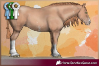 Horse Color:Gold Champagne Sabino Tobiano 
