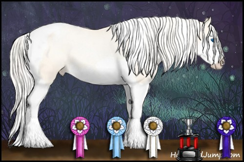 Horse Color:Gold Cream Champagne Pearl Splash Tobiano Varnish 