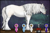 Horse Color:Gold Cream Champagne Pearl Splash Tobiano Appaloosa 