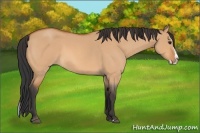 Horse Color:Bay Roan Dun Splash 