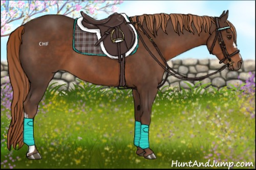 Horse Color:Liver Chestnut 