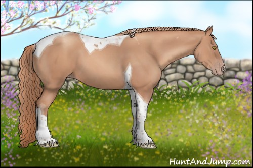 Horse Color:Gold Champagne Tobiano 