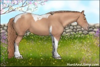 Horse Color:Gold Champagne Tobiano