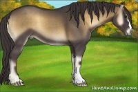 Horse Color:Smoky Blue Onyx 