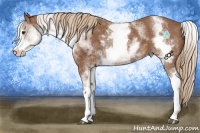 Horse Color:White Spotted Chestnut Sabino 