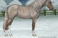 Horse Color:Silver Blue Roan 