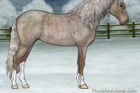 Horse Color:Silver Blue Roan 