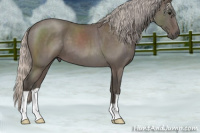 Horse Color:Silver Blue Roan 