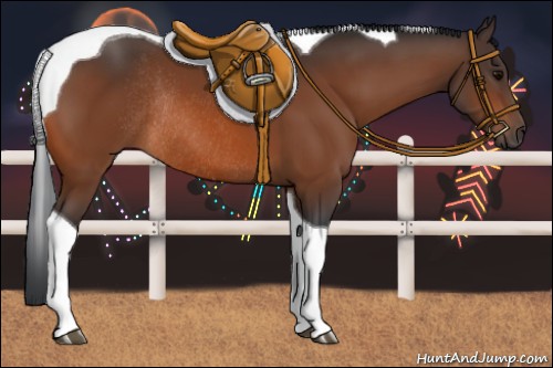 Horse Color:Bay Tobiano Rabicano 