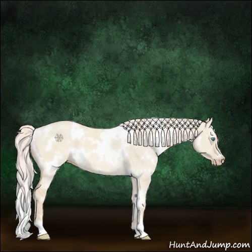 Horse Color:White Spotted Cremello Dun 