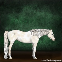 Horse Color:White Spotted Cremello Dun 