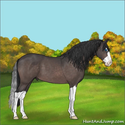 Horse Color:Platinum Bay Splash