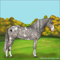 Horse Color:White Spotted Liver Red Dun Mushroom Splash Appaloosa 