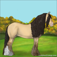 Horse Color:Gray Amber Cream Champagne Dun 