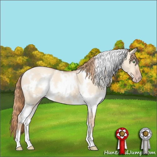 Horse Color:White Spotted Gold Champagne Dun 