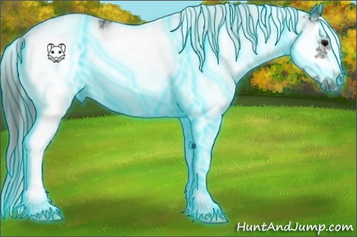 Horse Color:Thunderstruck White Spotted Smoky Black Splash Frame