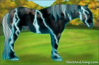 Horse Color:Void Thunderstruck White Spotted Silver Black Splash Frame 