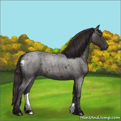 Horse Color:Smoky Blue Roan 