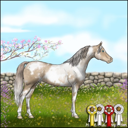 Horse Color:White Spotted Chocolate Palomino Pearl 