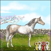 Horse Color:White Spotted Chocolate Palomino Pearl