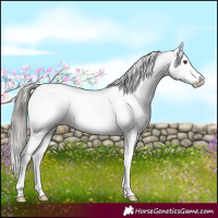 Horse Color:White Spotted Liver Red Dun Mushroom Tobiano Appaloosa 