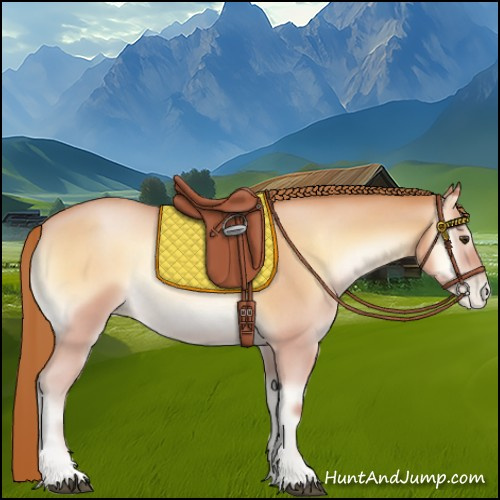 Horse Color:Bay Roan Pearl Onyx Rabicano