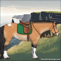 Horse Color:Bay Sabino Tobiano